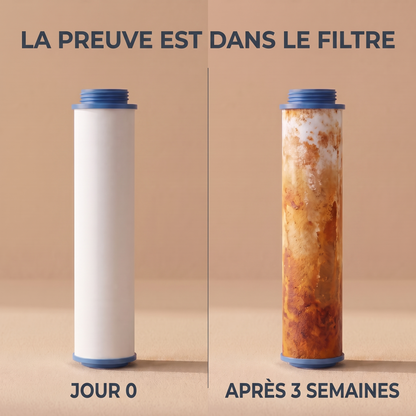 La preuve est dans le filtre : jour 0 contre après 3 semaines